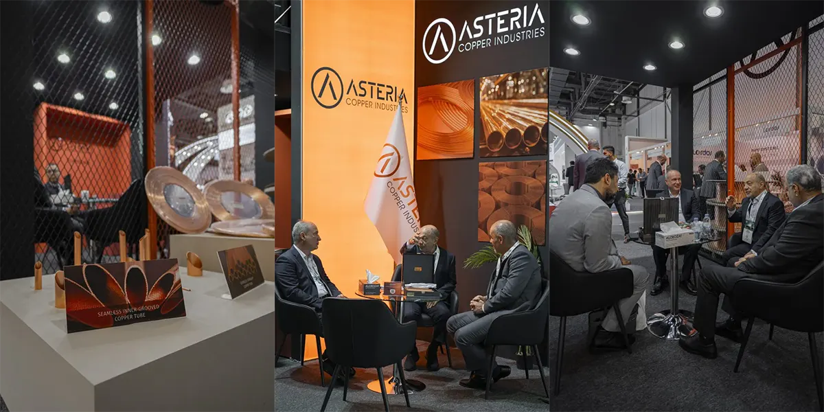 companies at BIG 5 Dubai Exhibition